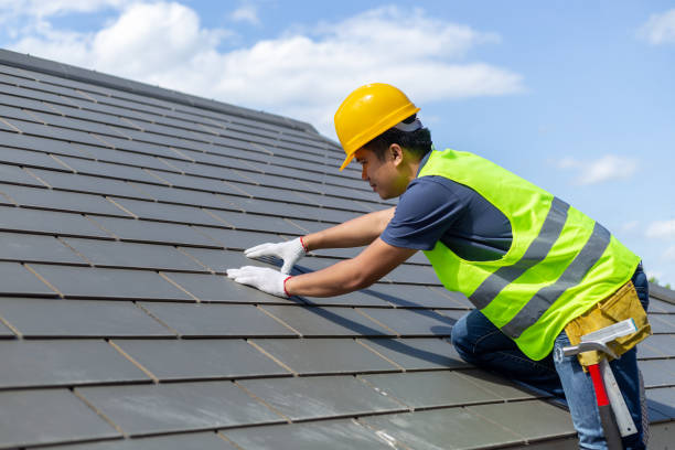 Professional Roofing Contractor in Andalusia, IL