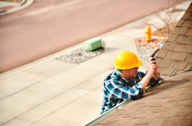 Best Roof Gutter Cleaning  in Andalusia, IL