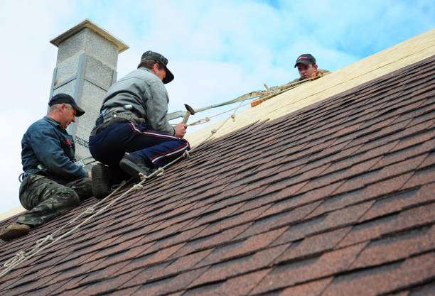 Best Best Roofing Contractors  in Andalusia, IL
